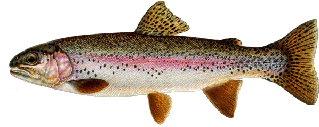 rainbows.gif (22938 bytes)