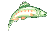 slugt.gif (5998 bytes)
