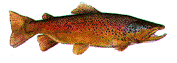 trotmove.gif (21532 bytes)