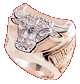 ring_red.gif (4153 bytes)